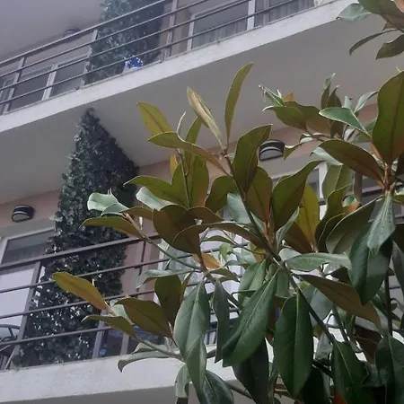 Pensiunea Cristian 4*