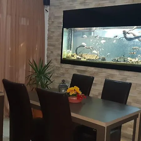 Pensiunea Cristian Maison d'hôtes 4*