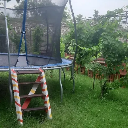 Maison d'hôtes Pensiunea Cristian