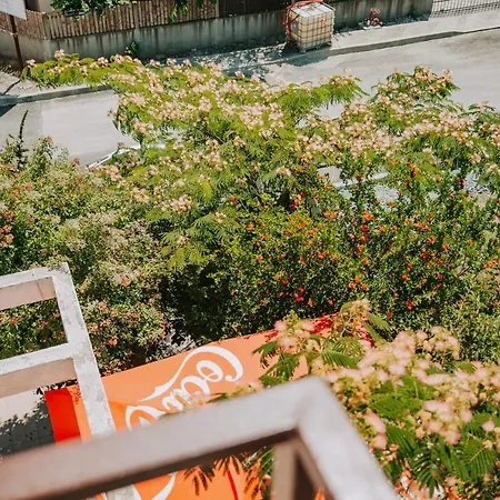 Pensiunea Cristian 4*