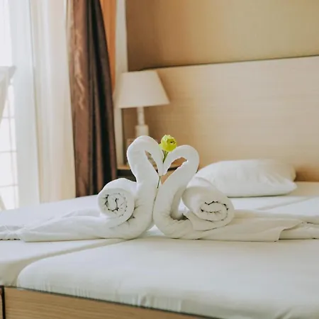 Pensiunea Cristian Guest house 4*