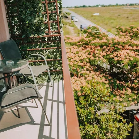 Pensiunea Cristian 4* Techirghiol