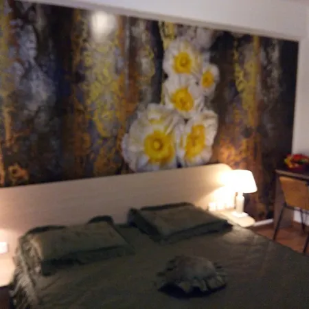 Pensiunea Cristian Maison d'hôtes 4*