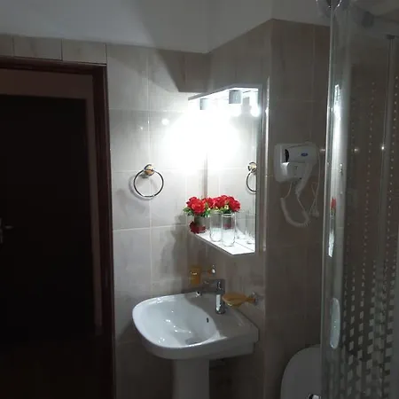 Pensiunea Cristian 4*