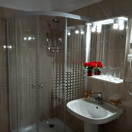Pensiunea Cristian 4*