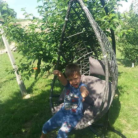 Гостевой дом Pensiunea Cristian 4*