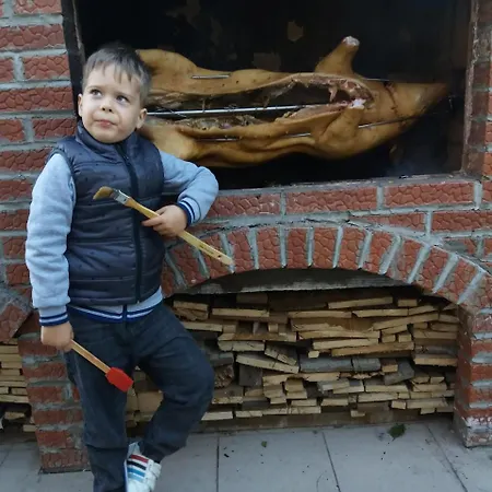 Pensiunea Cristian Maison d'hôtes