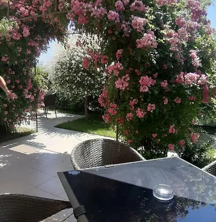 Pensiunea Cristian 4*