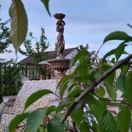 Pensiunea Cristian 4*