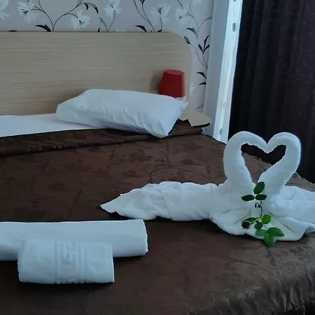 Гостевой дом Pensiunea Cristian 4*
