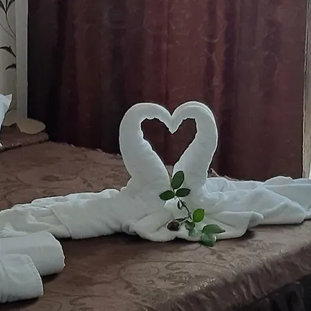 Гостевой дом Pensiunea Cristian 4*